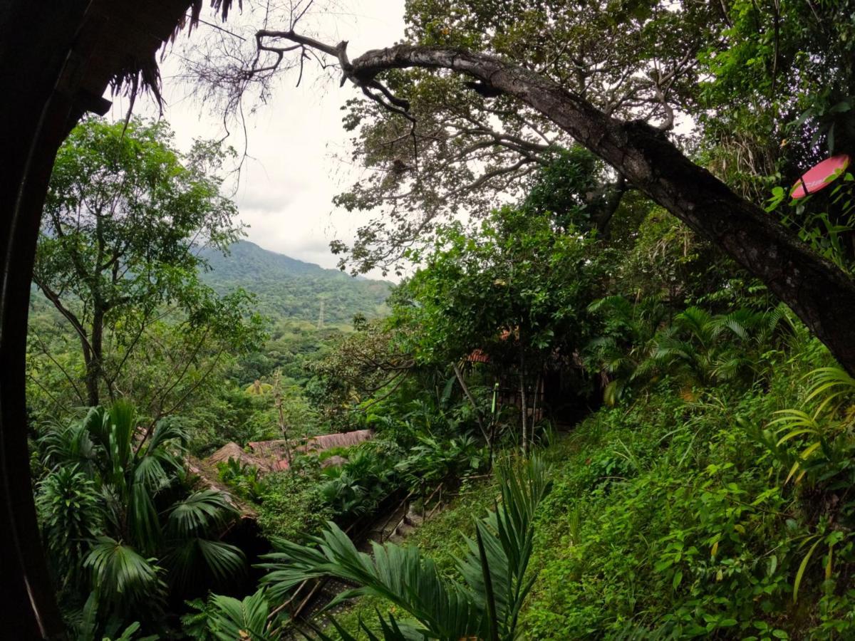 Ecohostal Rio Piedra El Zaino Exteriör bild