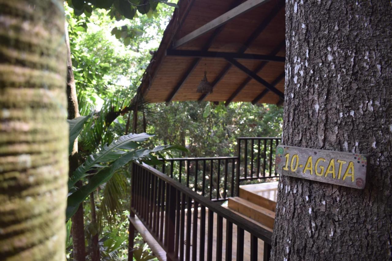 Ecohostal Rio Piedra El Zaino Exteriör bild