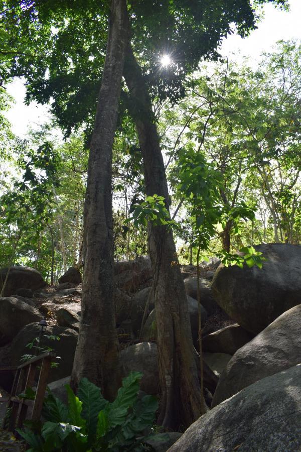 Ecohostal Rio Piedra El Zaino Exteriör bild