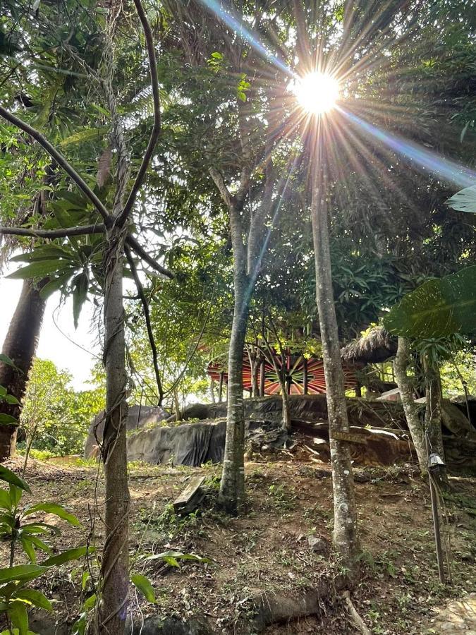 Ecohostal Rio Piedra El Zaino Exteriör bild